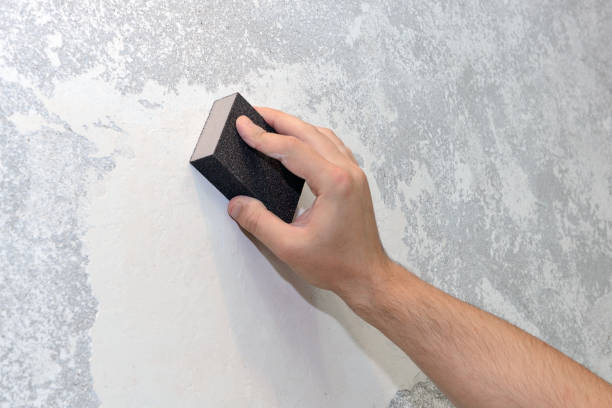 Best Attic Mold Removal  in West Dundee, IL