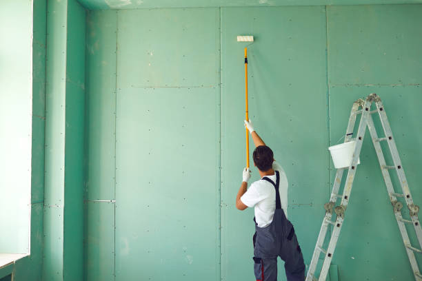 Best Black Mold Removal  in West Dundee, IL
