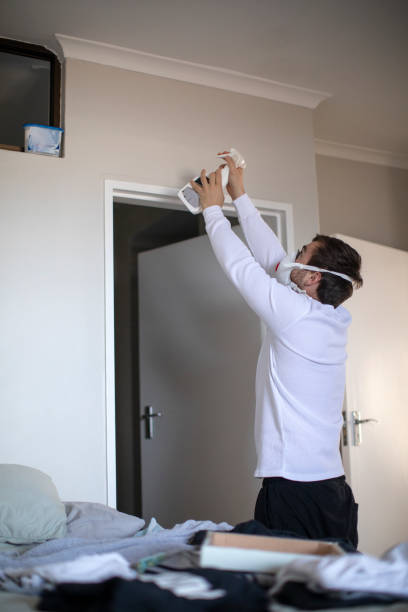Best Commercial Mold Inspection  in West Dundee, IL