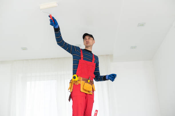 Best Post-Construction Mold Inspection  in West Dundee, IL
