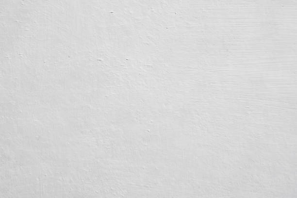 Best Mold Odor Removal Services  in West Dundee, IL