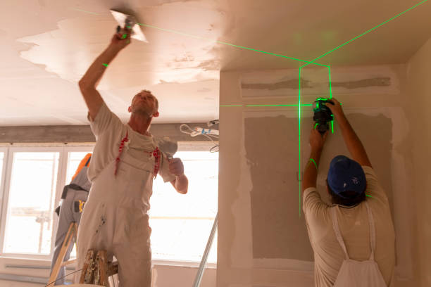 Best Basement Mold Removal  in West Dundee, IL