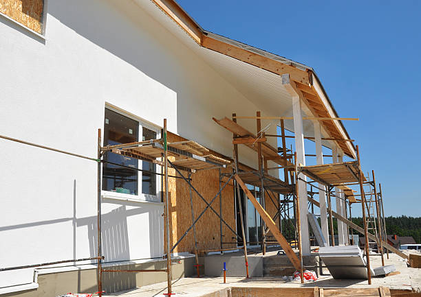 Reliable West Dundee, IL Mold Removal Solutions