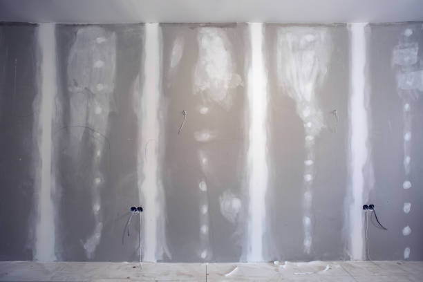 Best Real Estate Mold Inspection  in West Dundee, IL